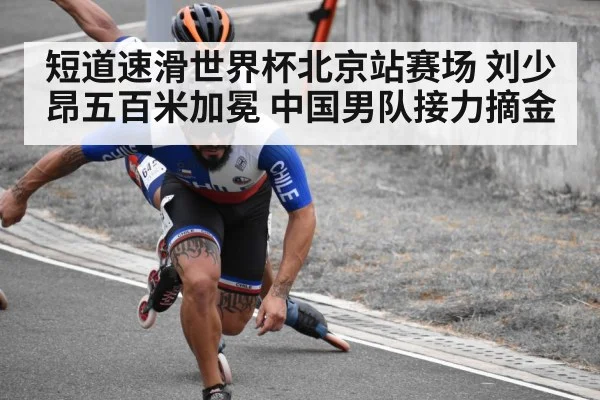 短道速滑世界杯北京站赛场 刘少昂五百米加冕 中国男队接力摘金
