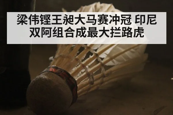 梁伟铿王昶大马赛冲冠 印尼双阿组合成最大拦路虎