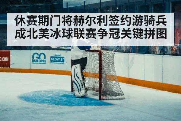 休赛期门将赫尔利签约游骑兵成北美冰球联赛争冠关键拼图