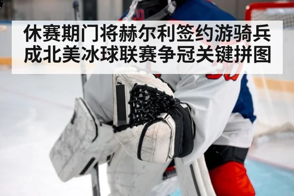 hockey save