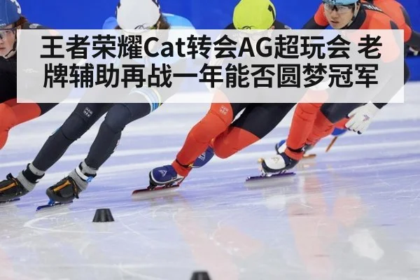 王者荣耀Cat转会AG超玩会 老牌辅助再战一年能否圆梦冠军